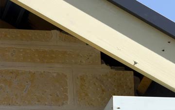 soffit repair Oatlands Park